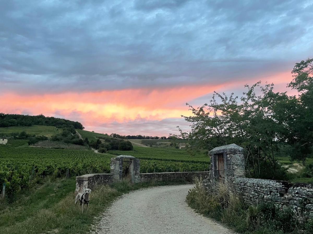 Le Clos De Miribel Givry  Exteriér fotografie